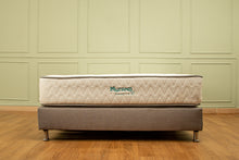 Cargar imagen en el visor de la galería, Base cama con colchón + almohada + protector