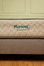 Cargar imagen en el visor de la galería, Base cama con colchón + almohada + protector