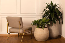 Cargar imagen en el visor de la galería, Silla Decorativa Ziba